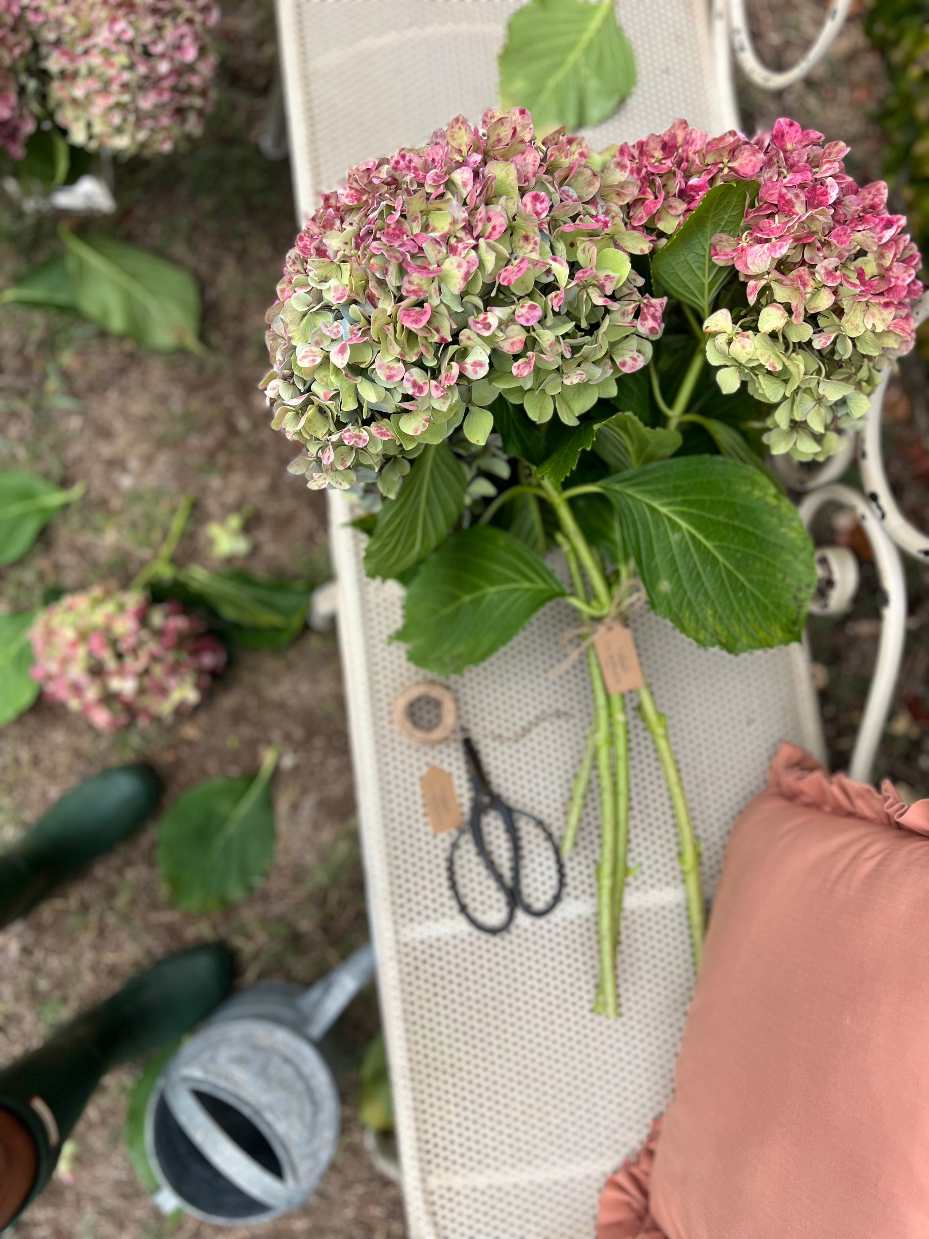 RAMO “XL” DE HORTENSIAS GALLEGAS