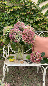 RAMO “M” DE HORTENSIAS GALLEGAS