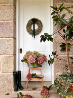 CORONA HORTESIAS GALLEGAS