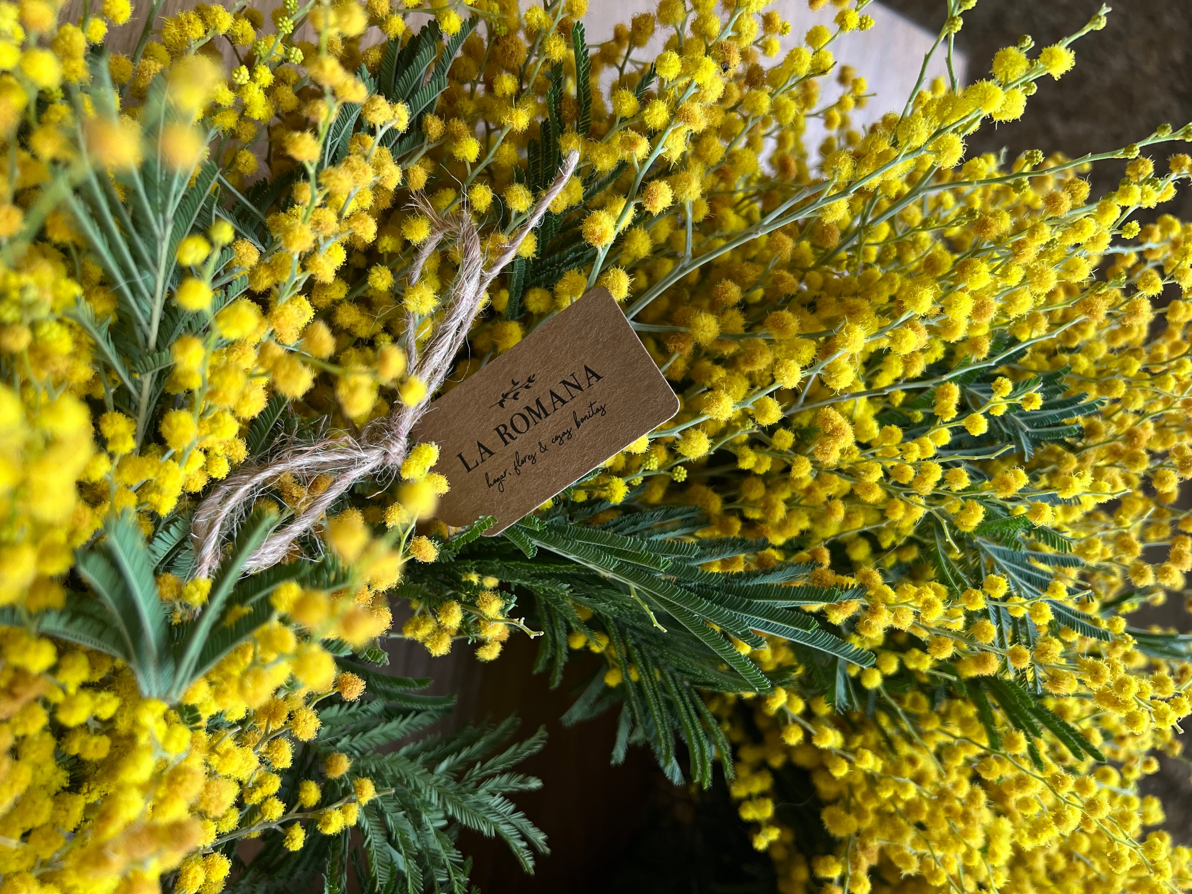 Corona de Mimosas - LA ROMANA GALICIA