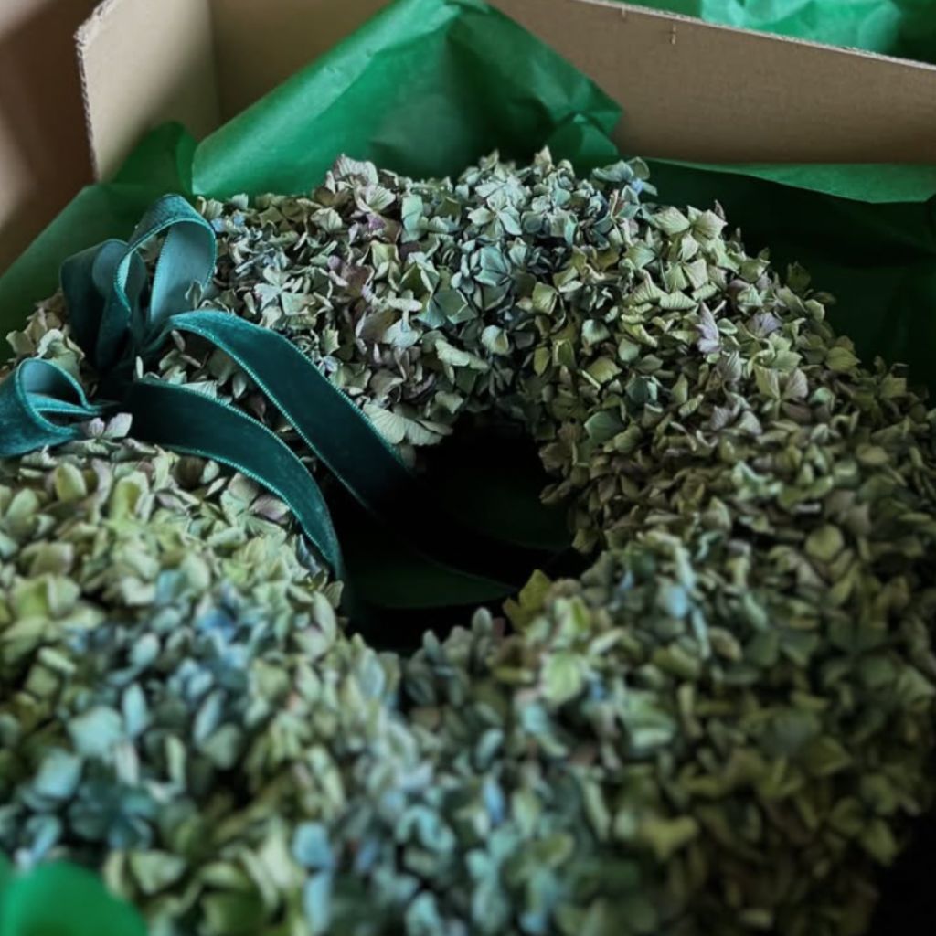 Corona de hortensias secas