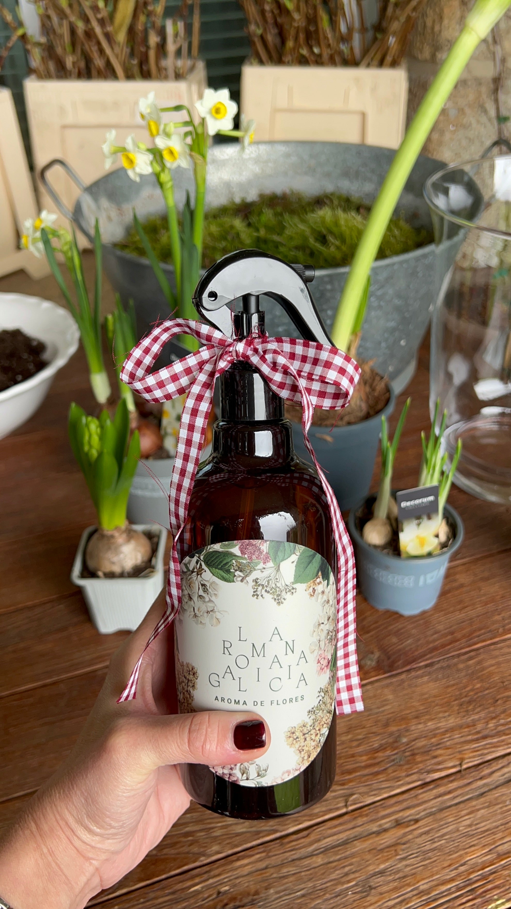 Aroma de Flores La Romana