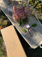 XL BOUQUET OF GALICIAN HYDRANGEAS