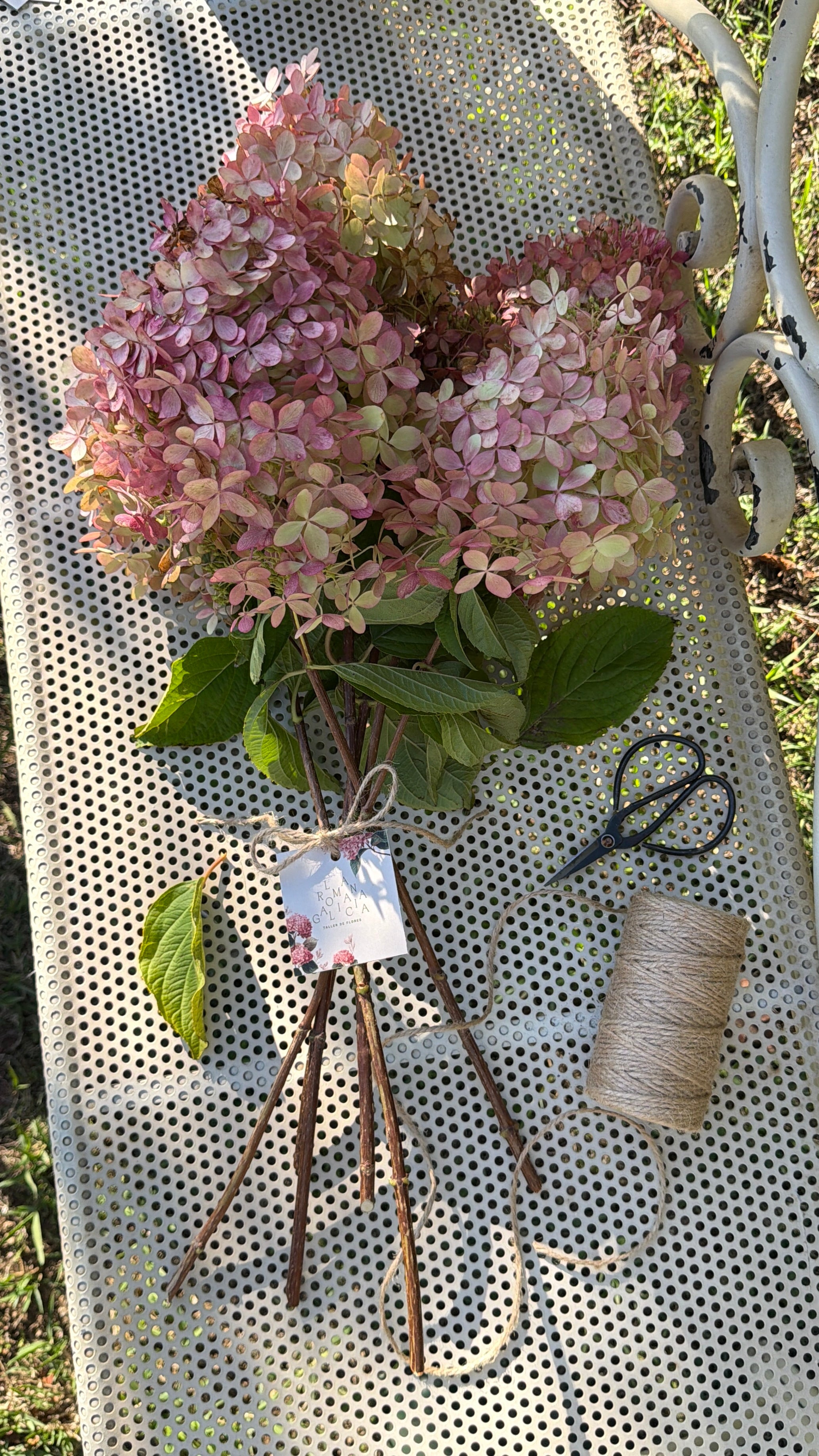XL BOUQUET OF GALICIAN HYDRANGEAS